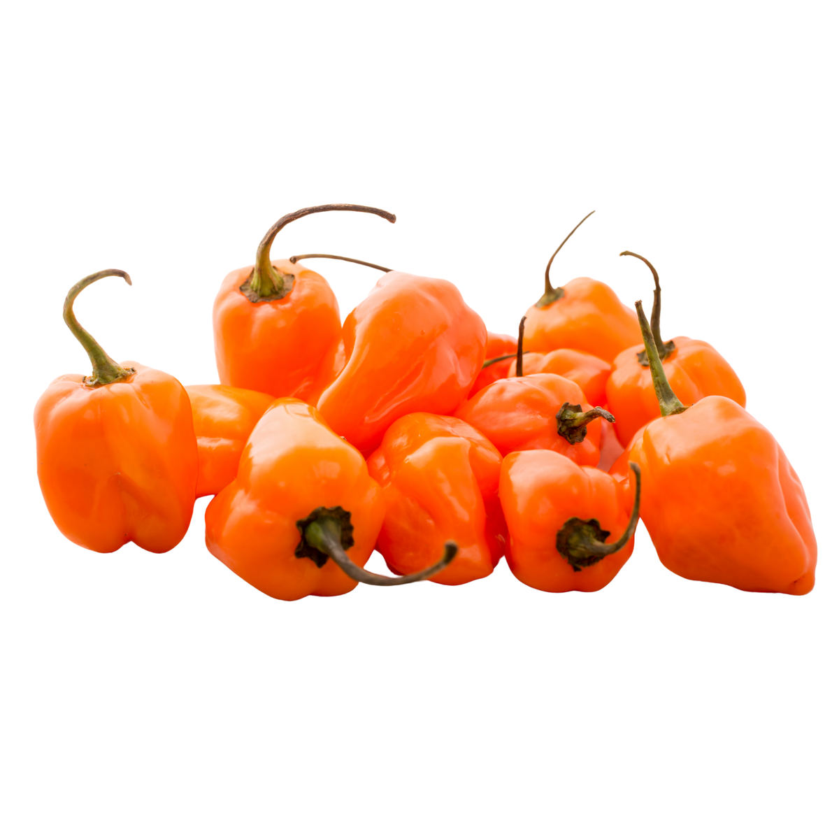 Chile habanero naranja