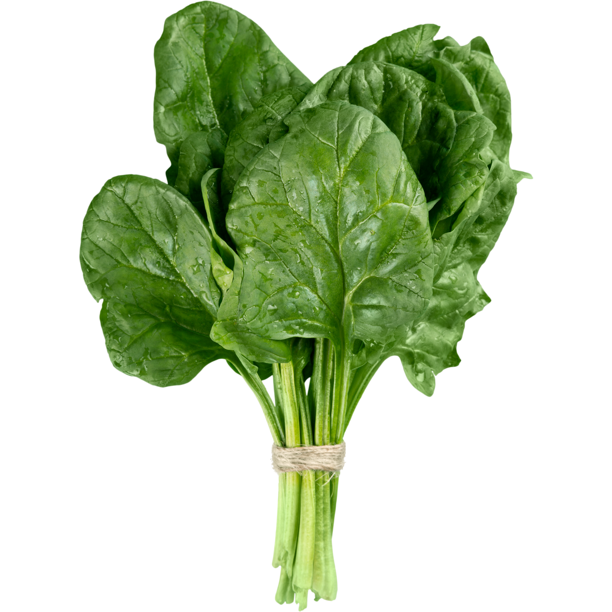 Espinaca