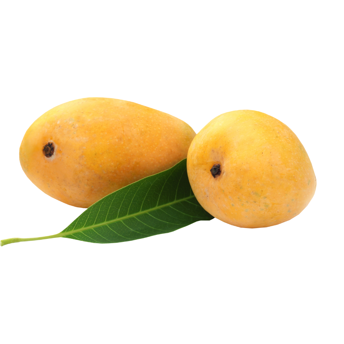 Mango manila