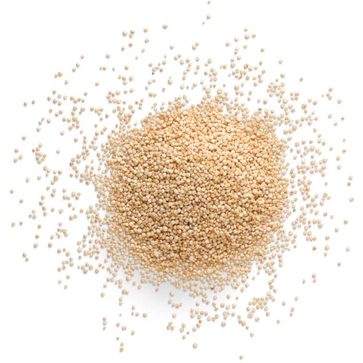Quinoa