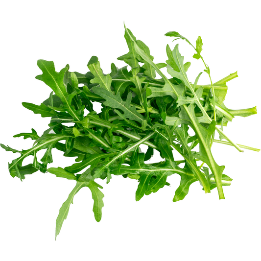 Arúgula baby