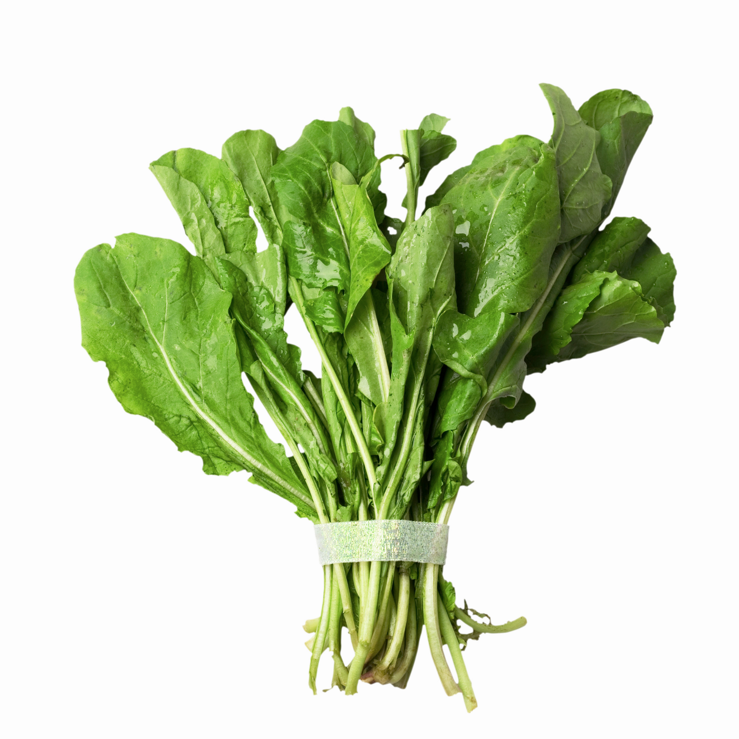 Arúgula