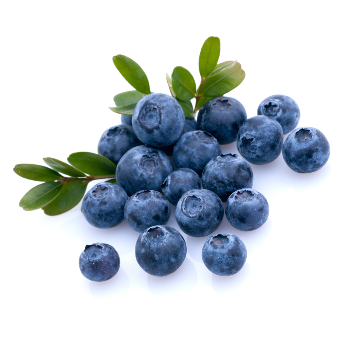 Blueberry