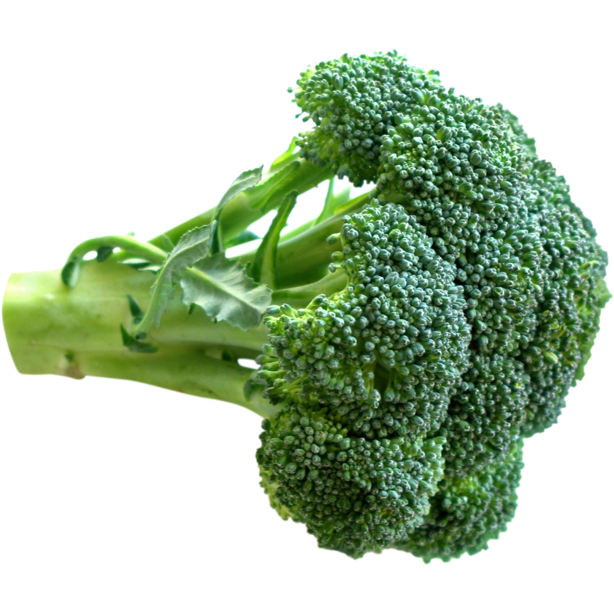 Brócoli