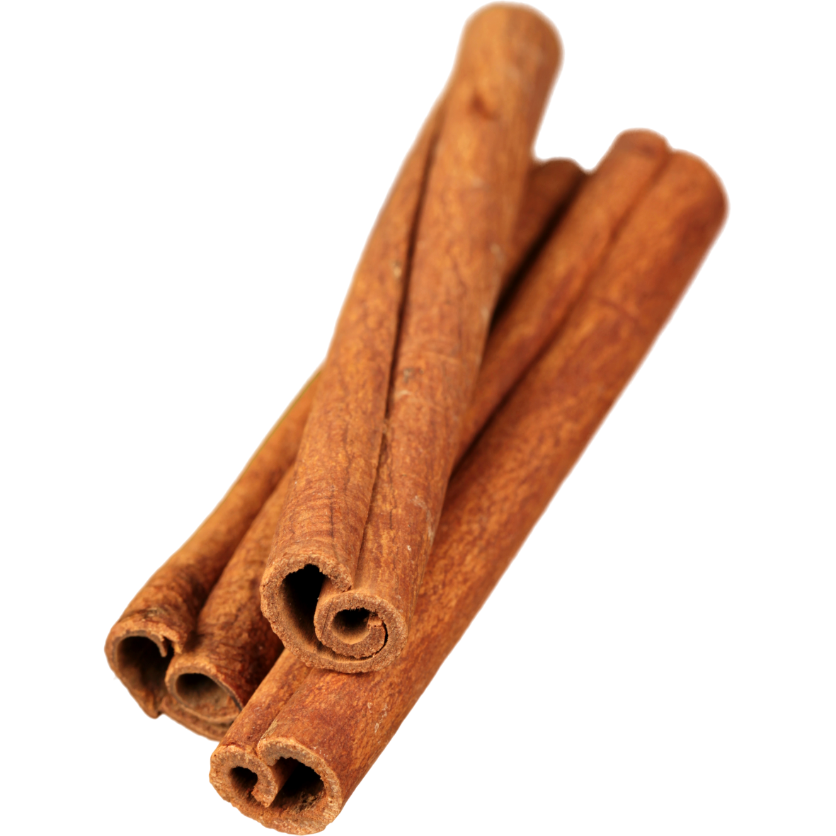 Canela
