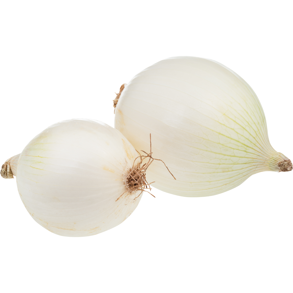 Cebolla blanca