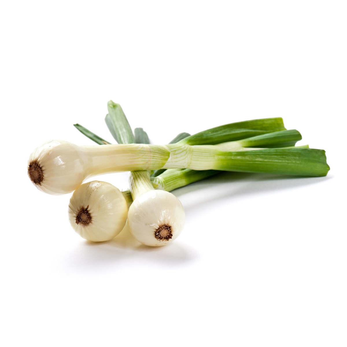 Cebolla cambray con rabo