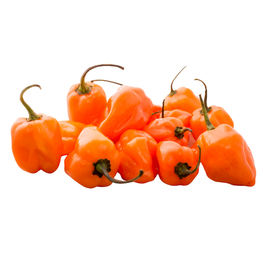 Chile habanero naranja