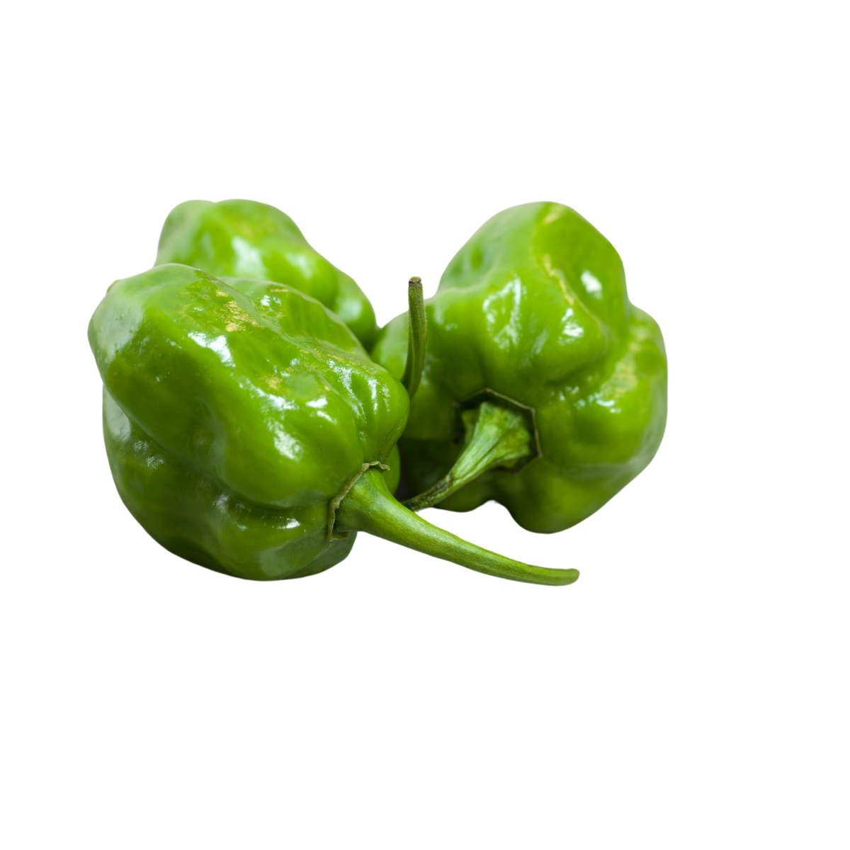 Chile habanero verde