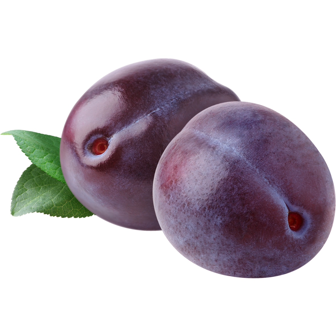 Ciruela