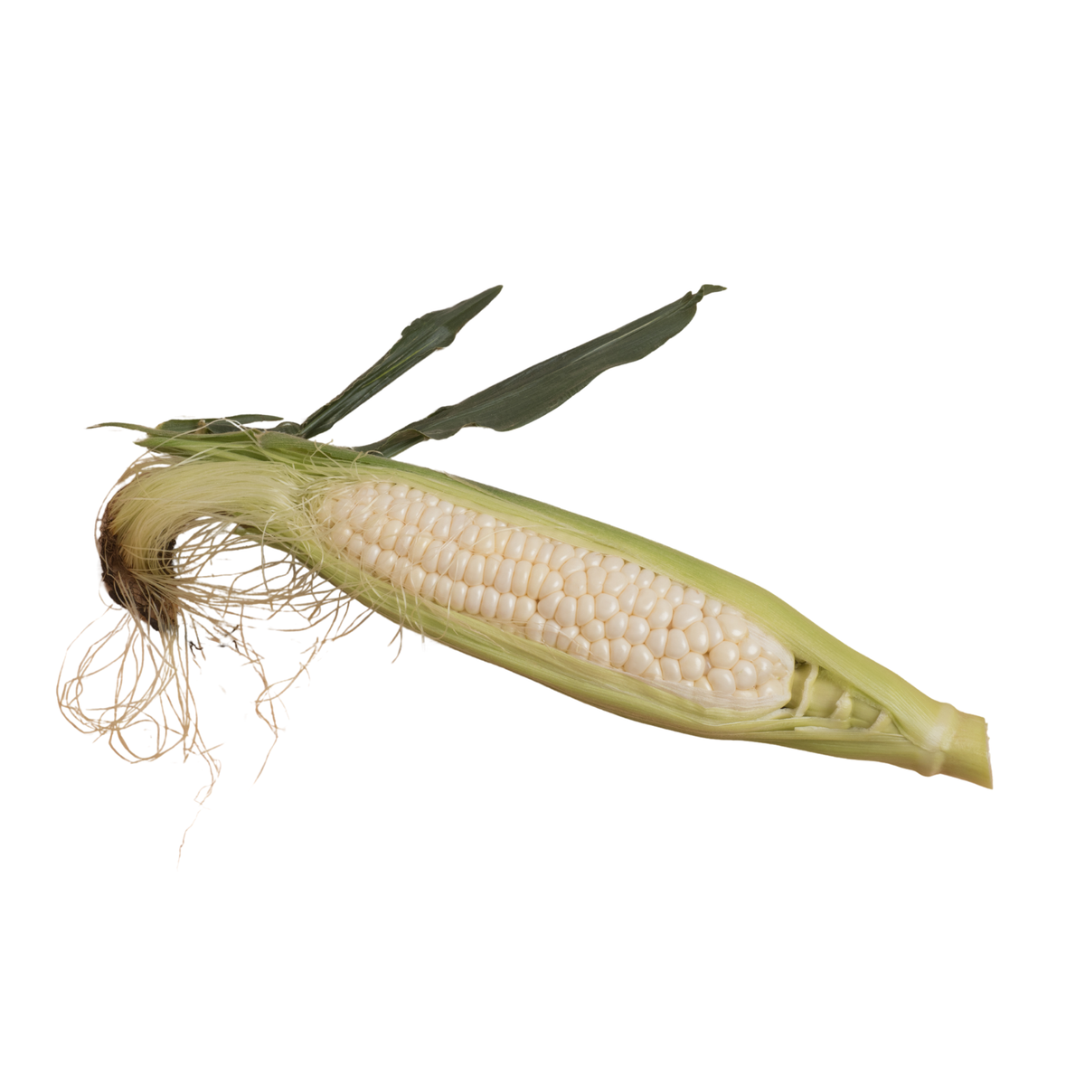 Elote tierno