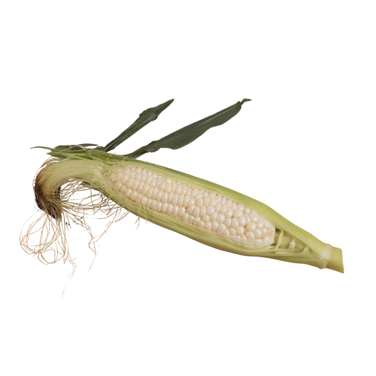 Elote tierno