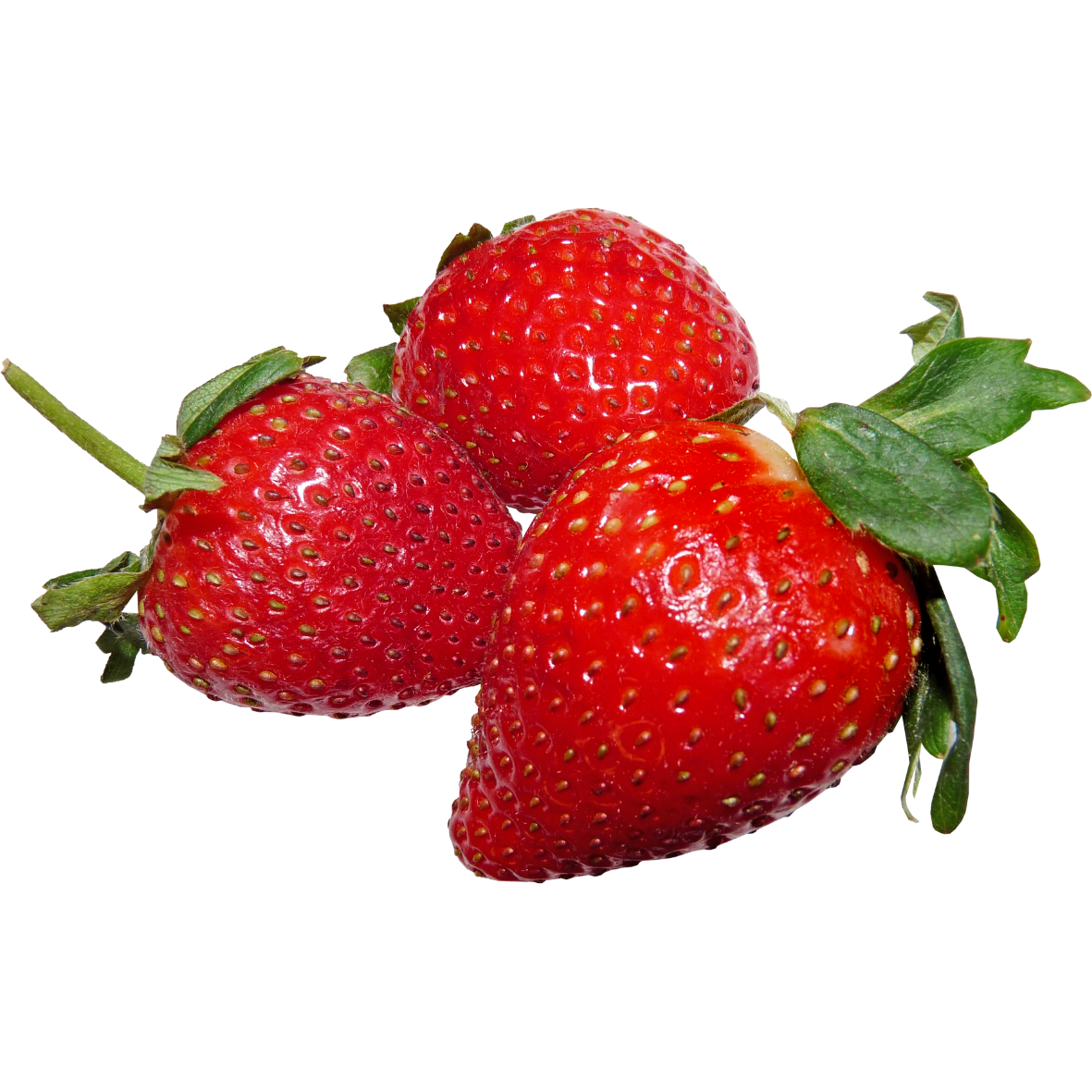 Fresa