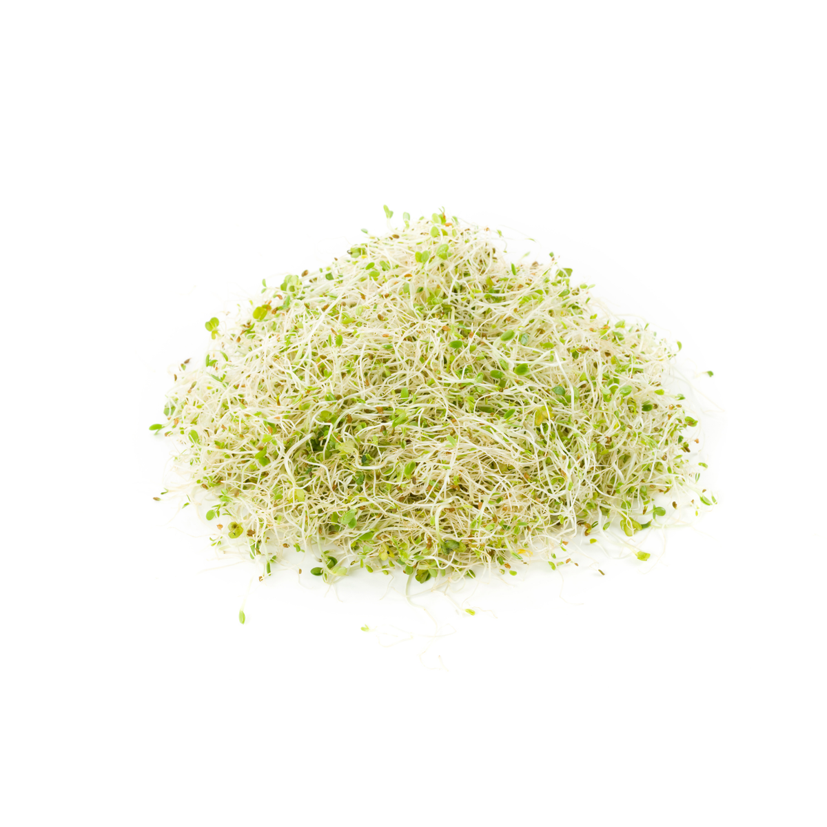 Germen de alfalfa