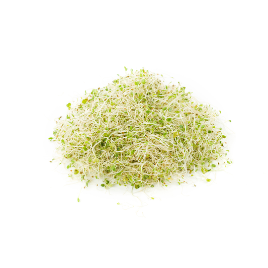 Germen de alfalfa