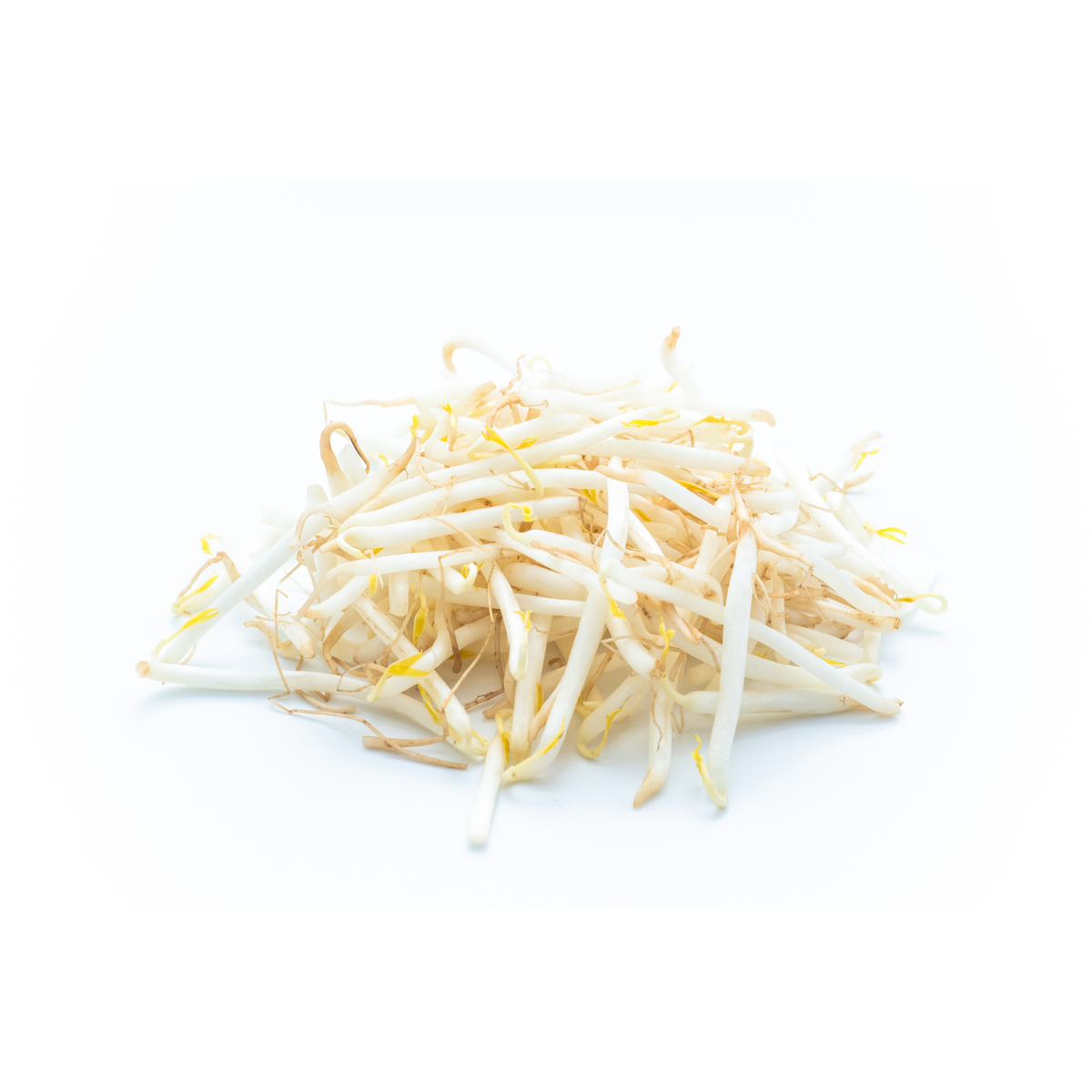 Germen de soya