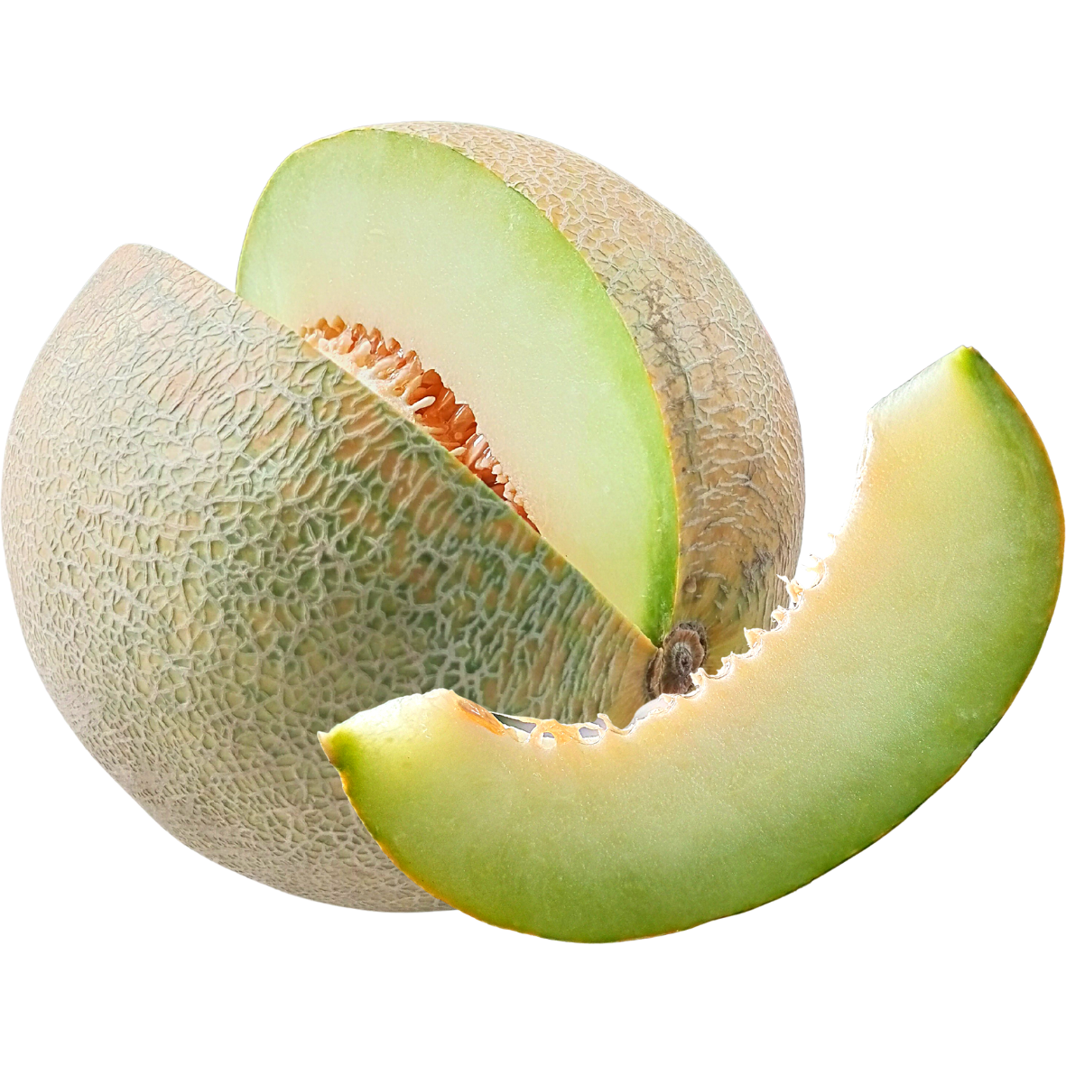 Melón Valenciano
