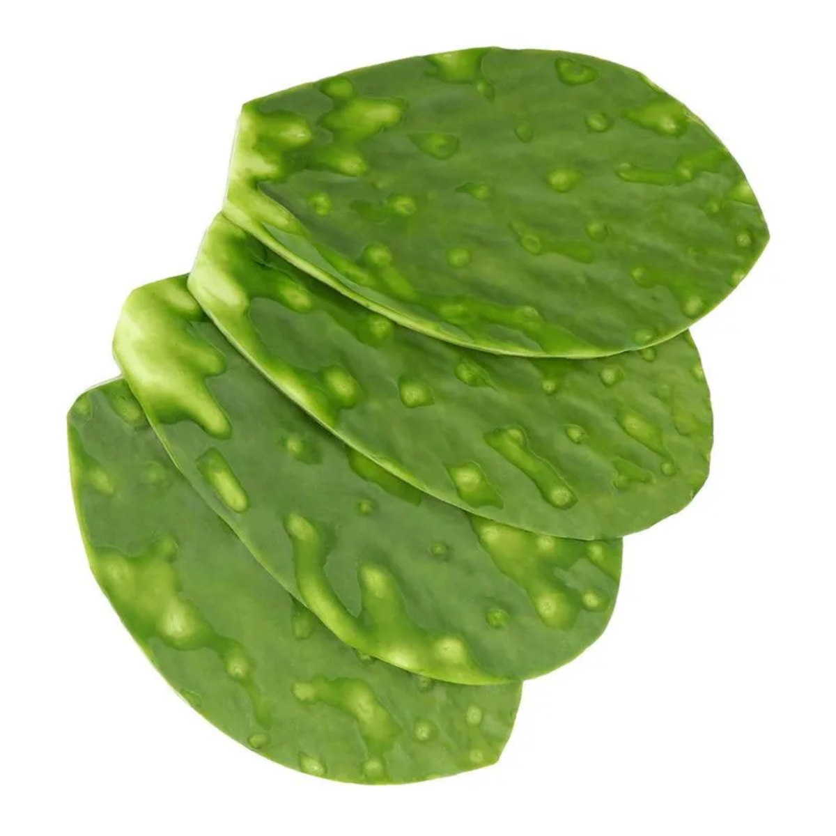 Nopal cambray