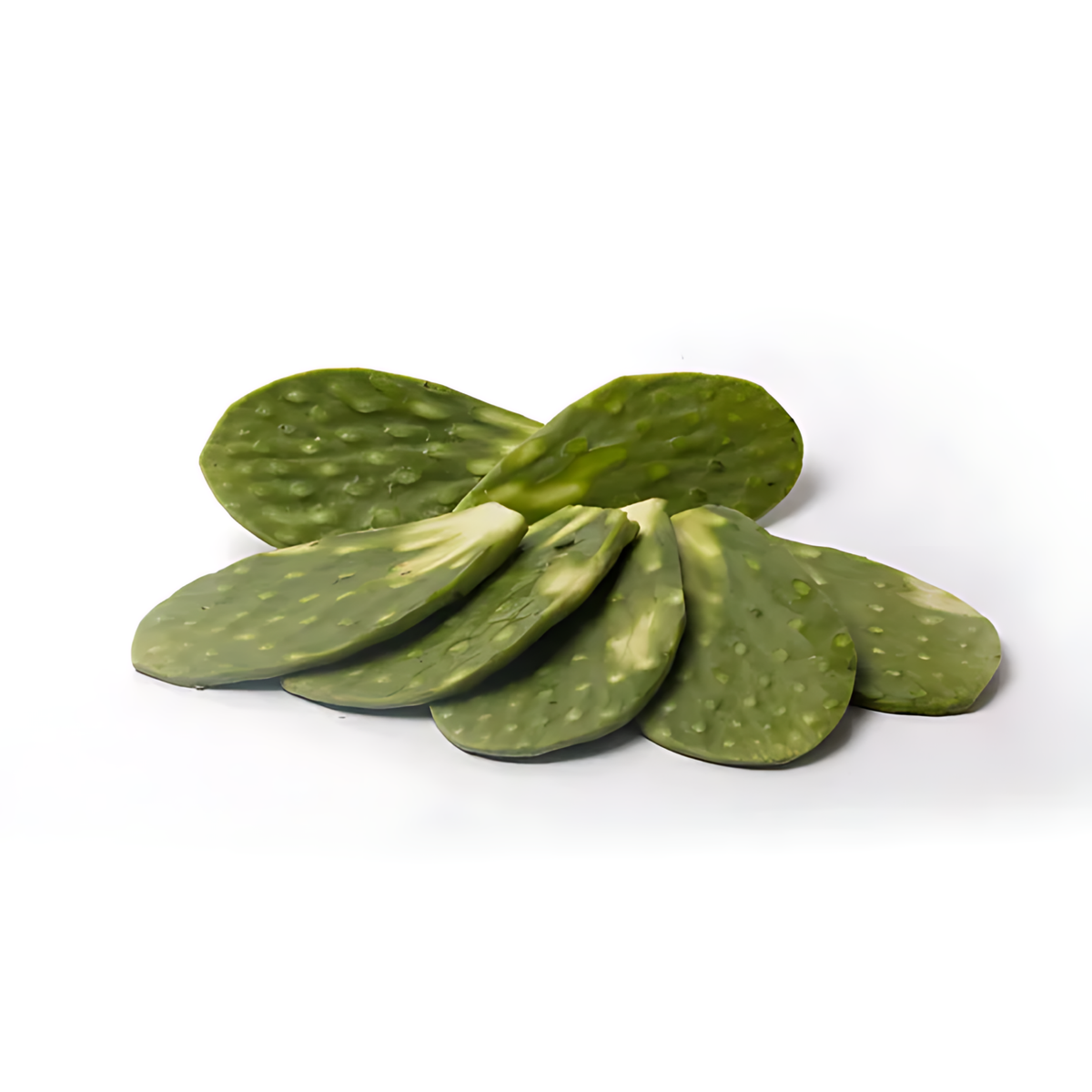 Nopal