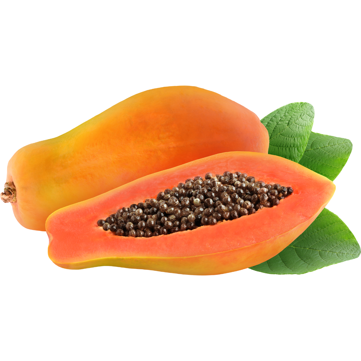 Papaya Maradol