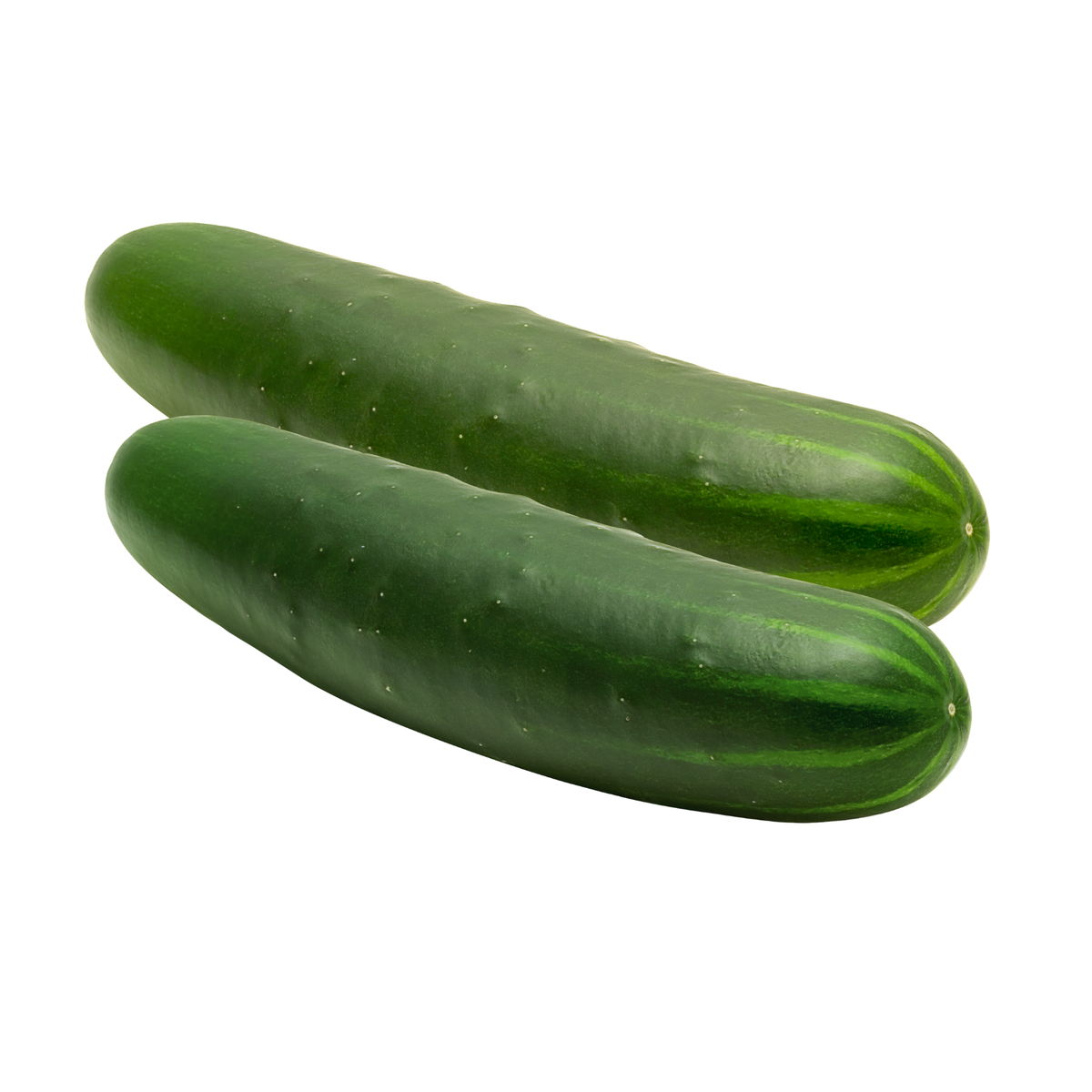 Pepino de invernadero
