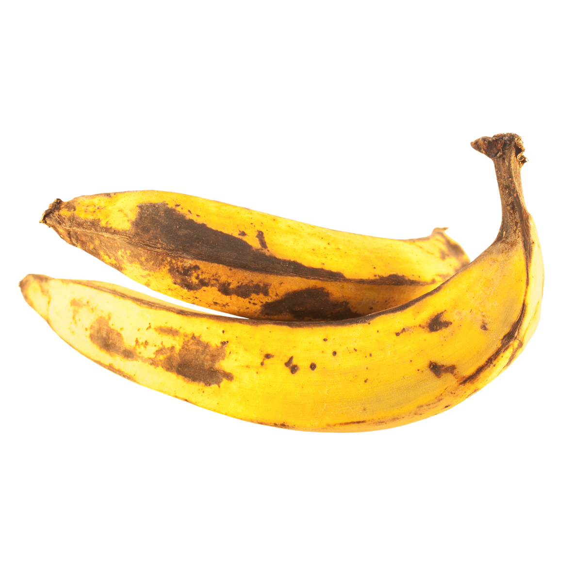 Plátano macho