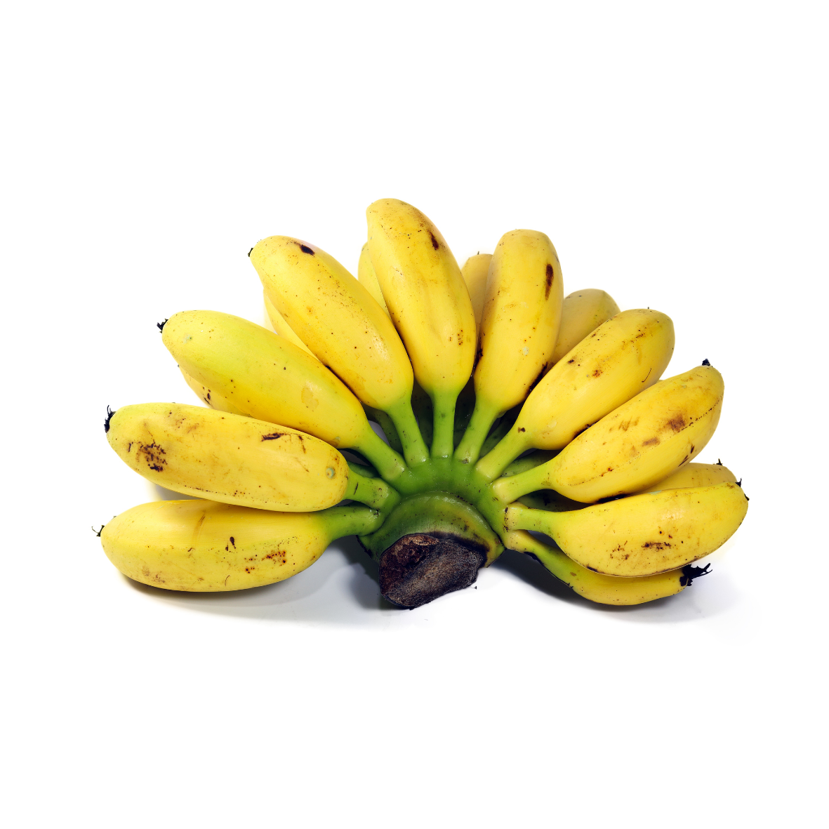Plátano dominico
